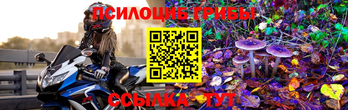 Галлюциногенные грибы ЛСД  купить наркоту  Пыть-Ях  Псилоцибиновые грибы ЛСД  Вход с VPN 
