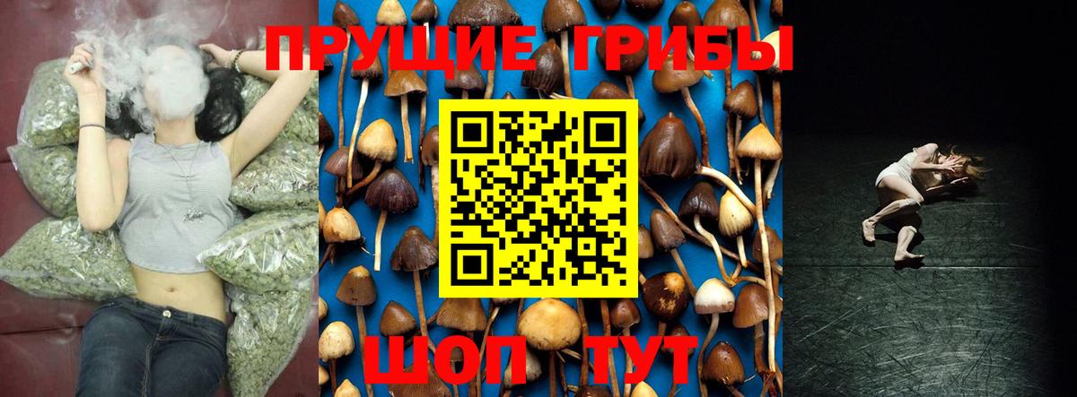 Галлюциногенные грибы Cubensis Пыть-Ях